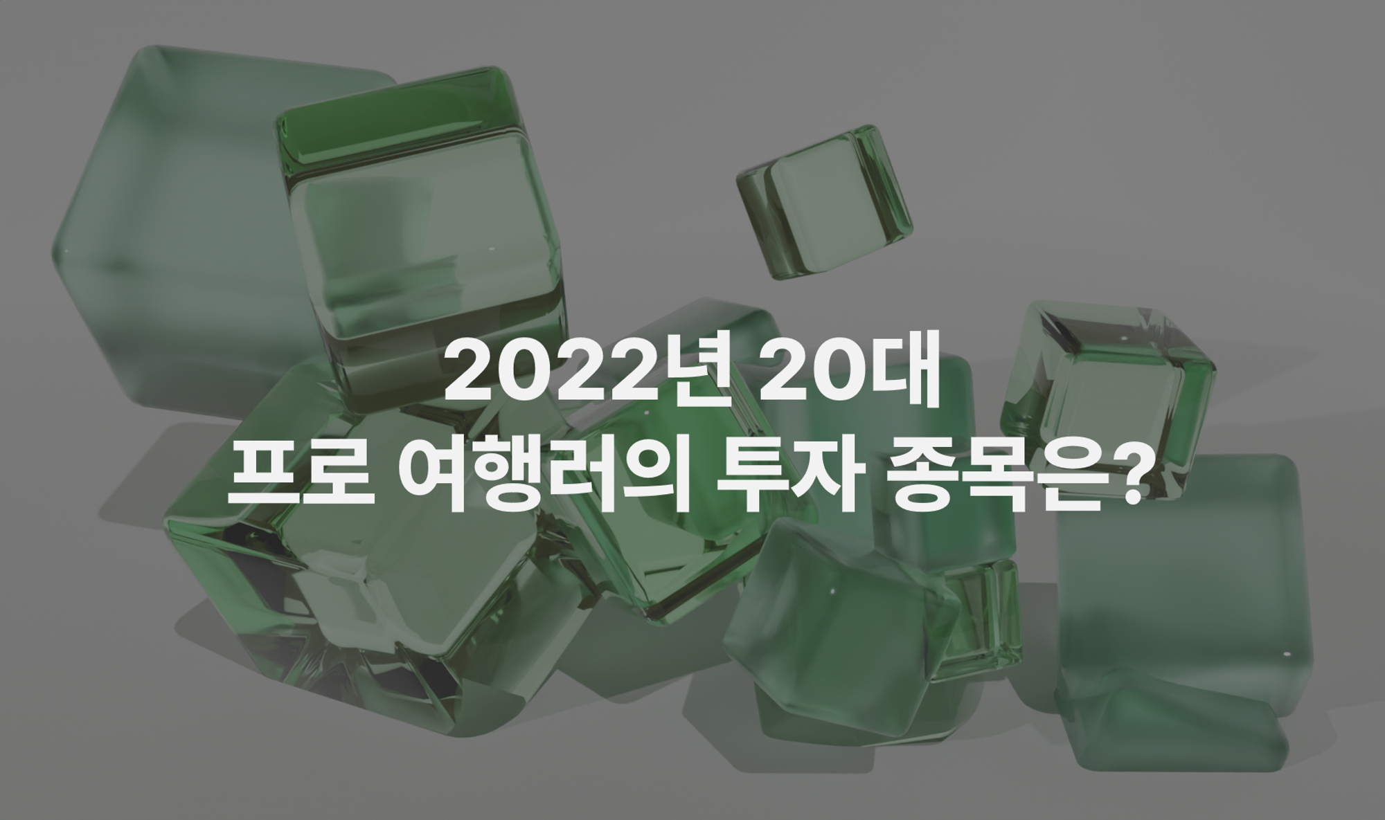 2022년 20대 프로 여행러의 투자 종목은?